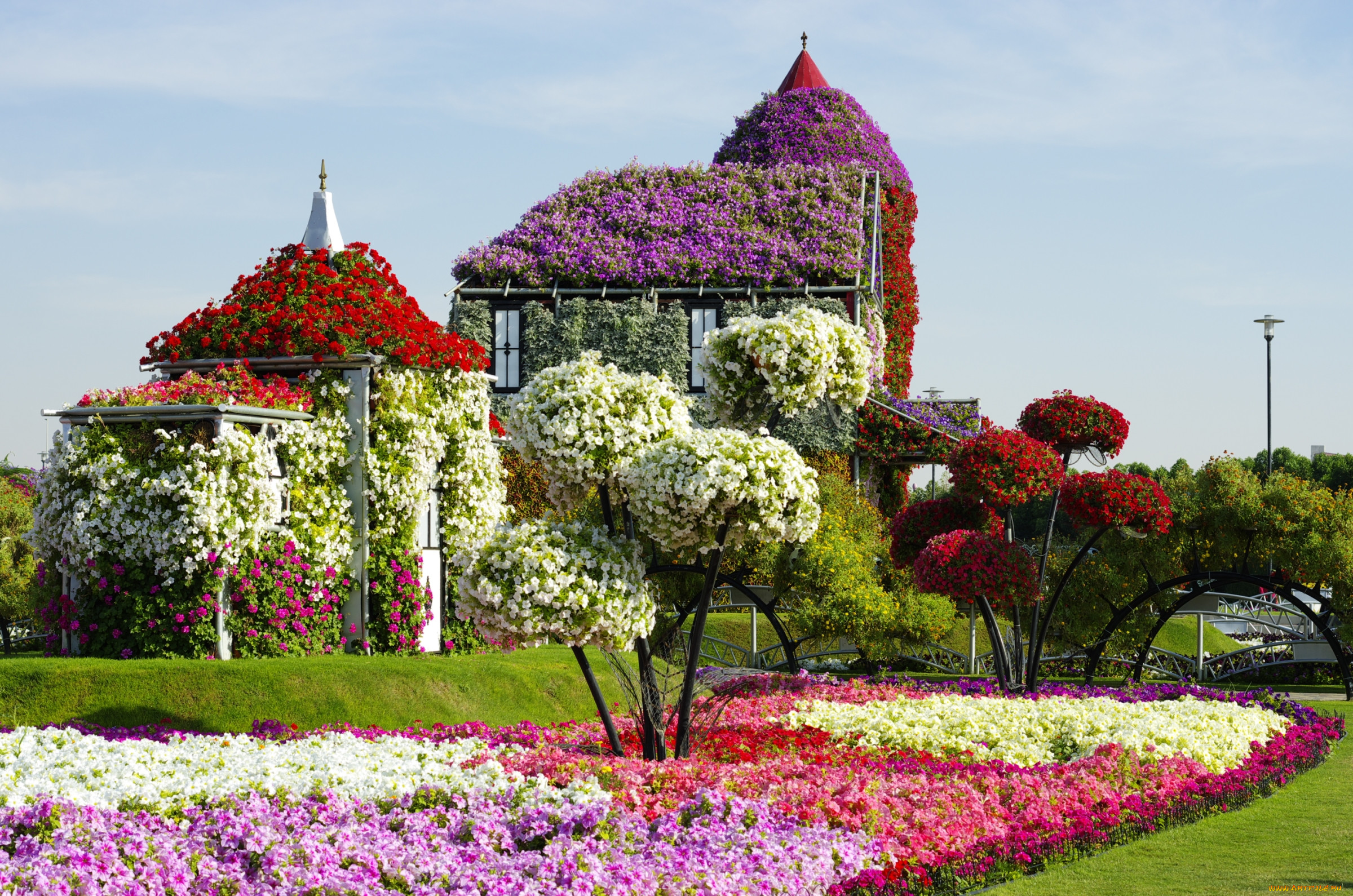 красивый парк с цветами